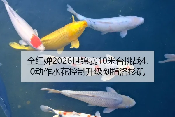 全红婵2026世锦赛10米台挑战4.0动作水花控制升级剑指洛杉矶（Leyu）